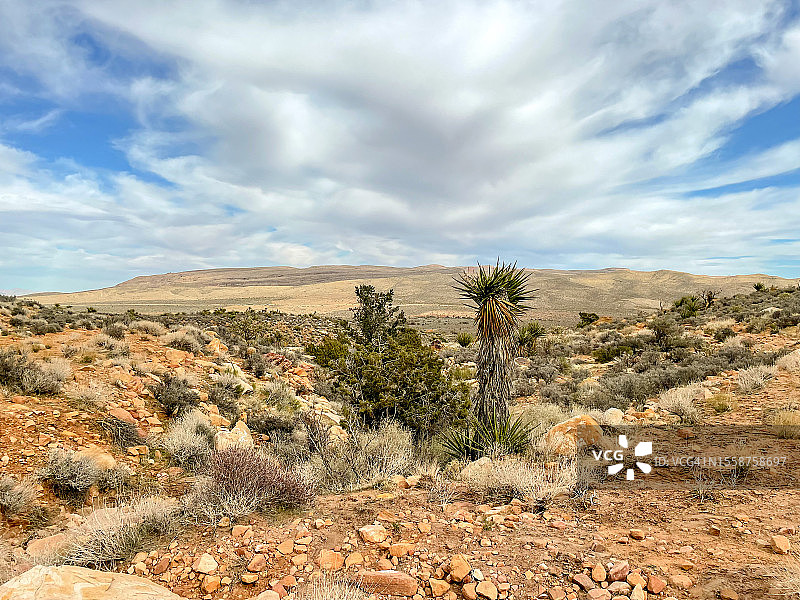 美国内华达州拉斯维加斯沙漠风光图片素材