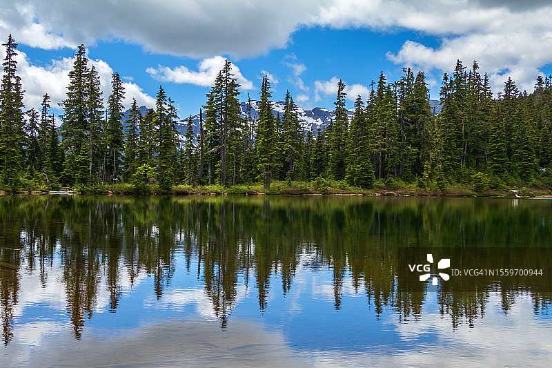 斯特拉斯科纳省立公园，温哥华岛荒野地区图片素材