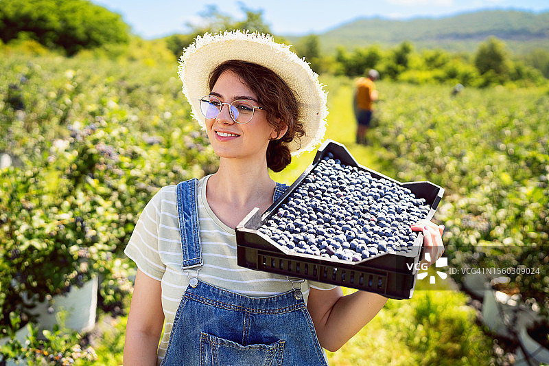 在有机蓝莓农场工作的年轻女子肖像图片素材