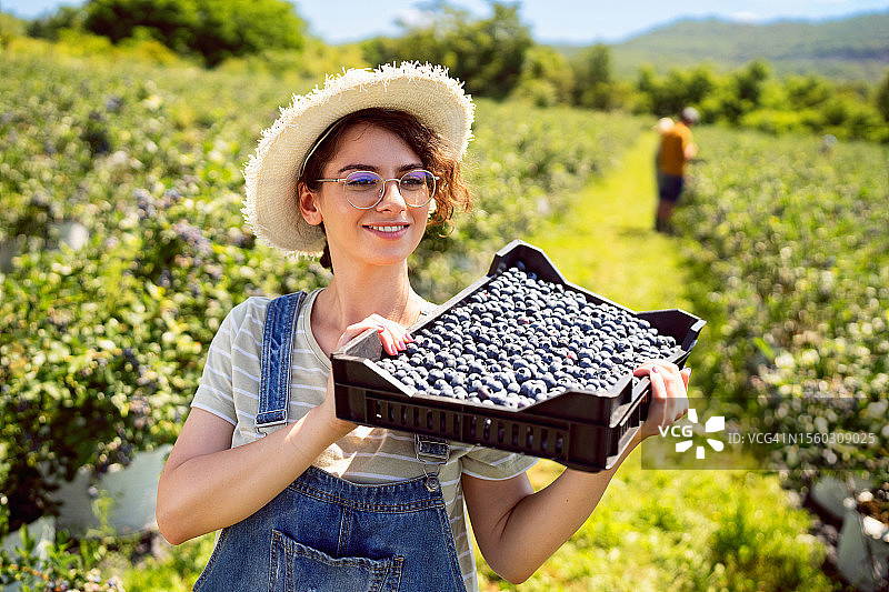 在有机蓝莓农场工作的年轻女子肖像图片素材