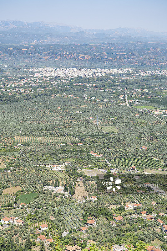 希腊拉科尼亚斯巴达橄榄树航拍图片素材