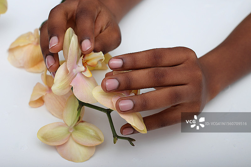 女子触摸白色背景上的鲜花特写，西班牙图片素材