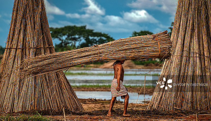 侧面男人搬运黄麻捆，蓝天背景图片素材
