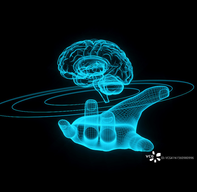 人手上的全息大脑图片素材
