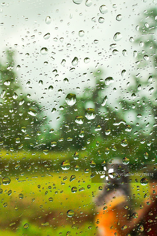 透明窗户上绿叶上的闪亮雨滴图片素材