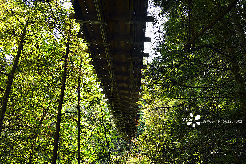 卡皮拉诺吊桥下图片素材