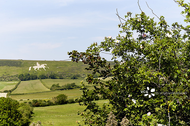 科夫多塞特图片素材