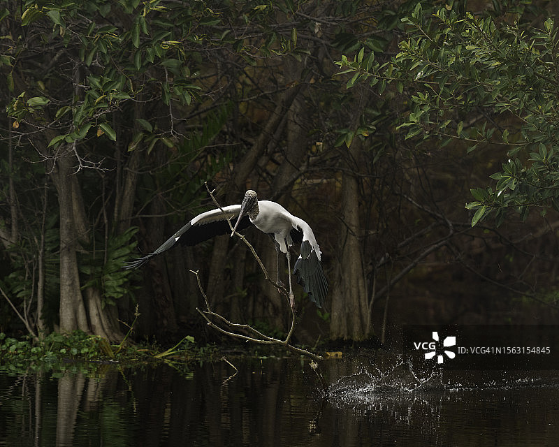 手持大棒图片素材