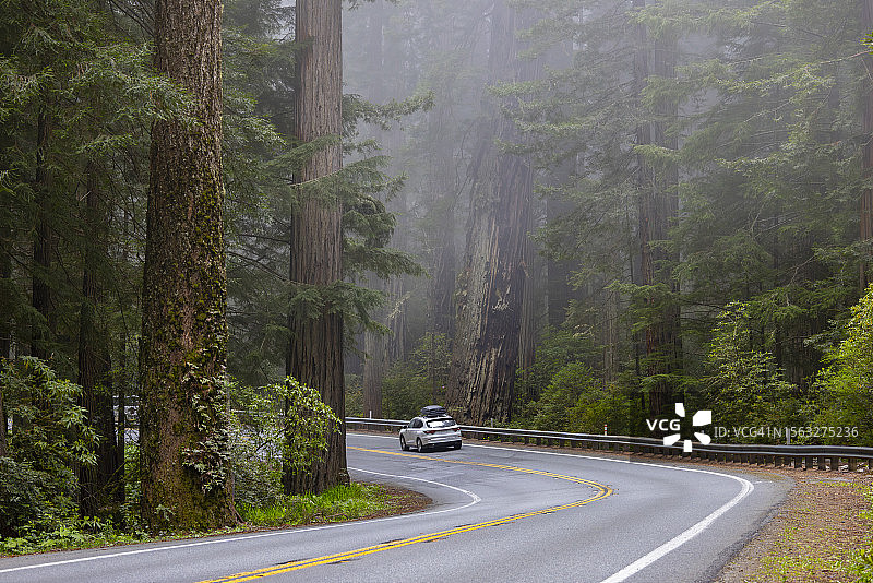 德尔诺特海岸红杉州立公园101号公路图片素材