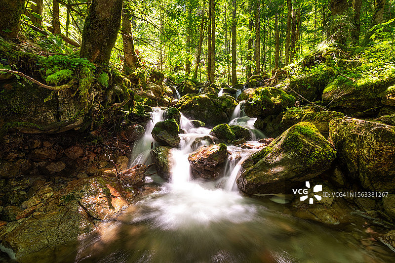 森林中的瀑布图片素材