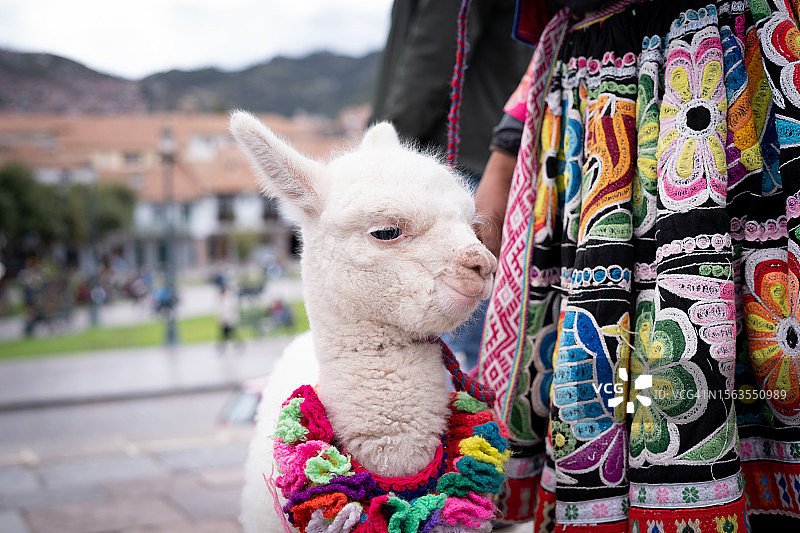 库斯科小巷：探险游客的发现之旅图片素材