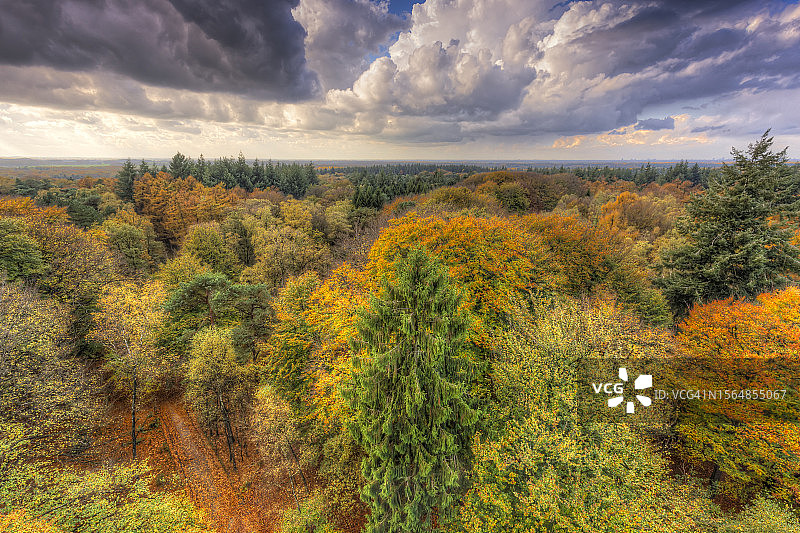 从荷兰德里贝亨附近的德卡普有利位置看乌特勒支山丘上的秋叶图片素材