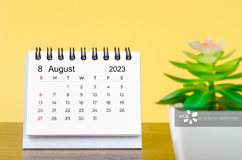 2023年8月桌面日历：黄色背景上的小盆栽图片素材