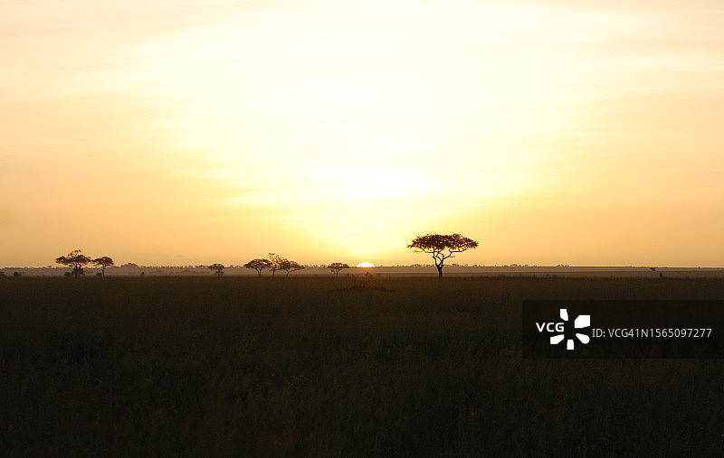 金色非洲日出图片素材