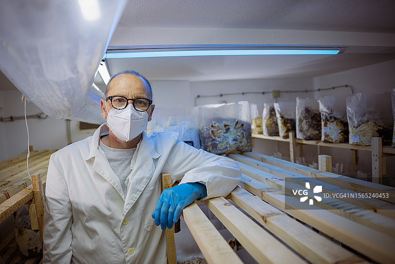 检查灵芝图片素材