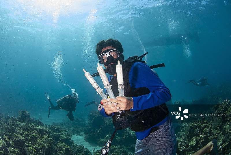 海洋生物学家用注射器给患有石珊瑚组织损失疾病（SCTLD）的珊瑚使用抗生素图片素材