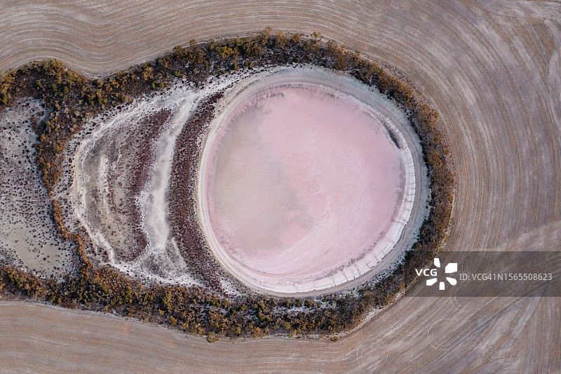 澳大利亚西部的粉色盐湖航拍图片素材
