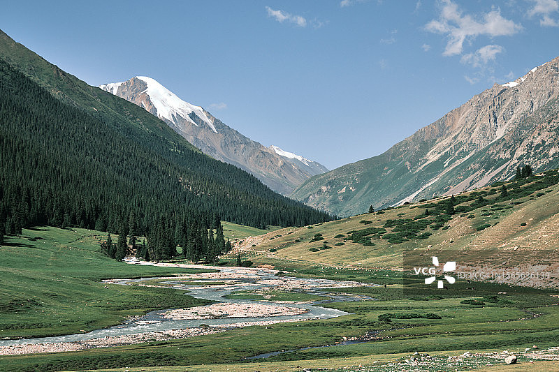 阳光明媚的夏日山谷景观图片素材