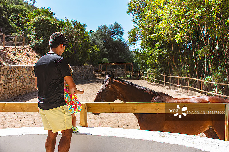 父女在马厩里看马图片素材