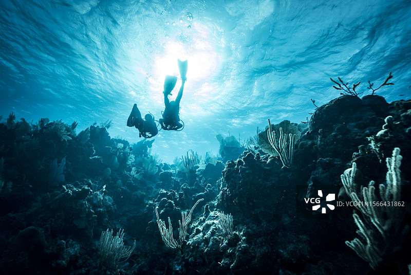两名潜水员在珊瑚礁中朝着阳光游去图片素材