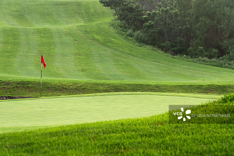 公园里的草坪图片素材