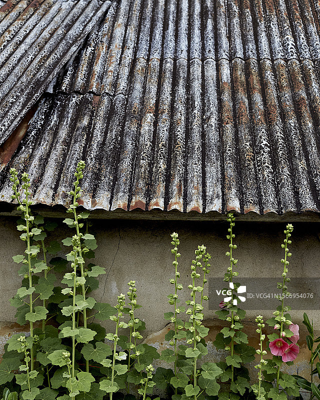 英格兰巧克力盒图片素材