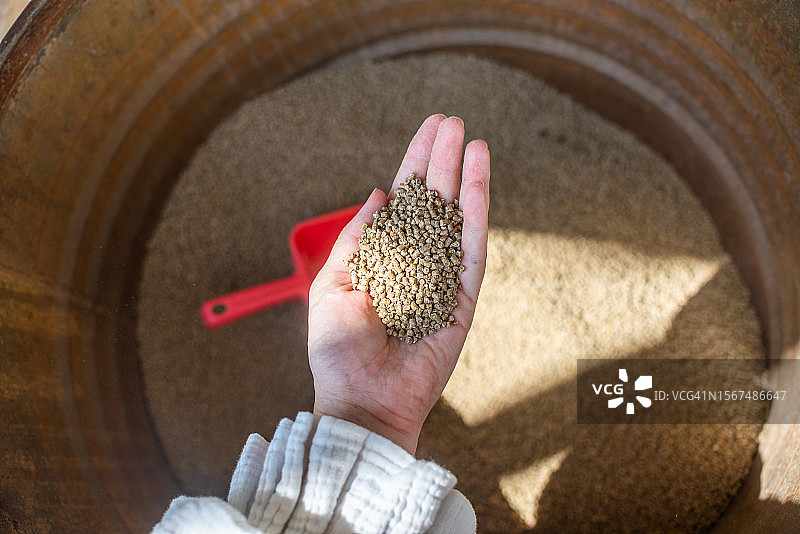 女人手在养禽场倒家禽混合饲料图片素材