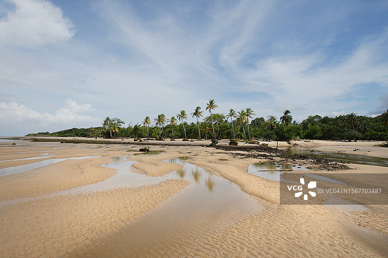 Marajó巴西亚马逊岛图片素材