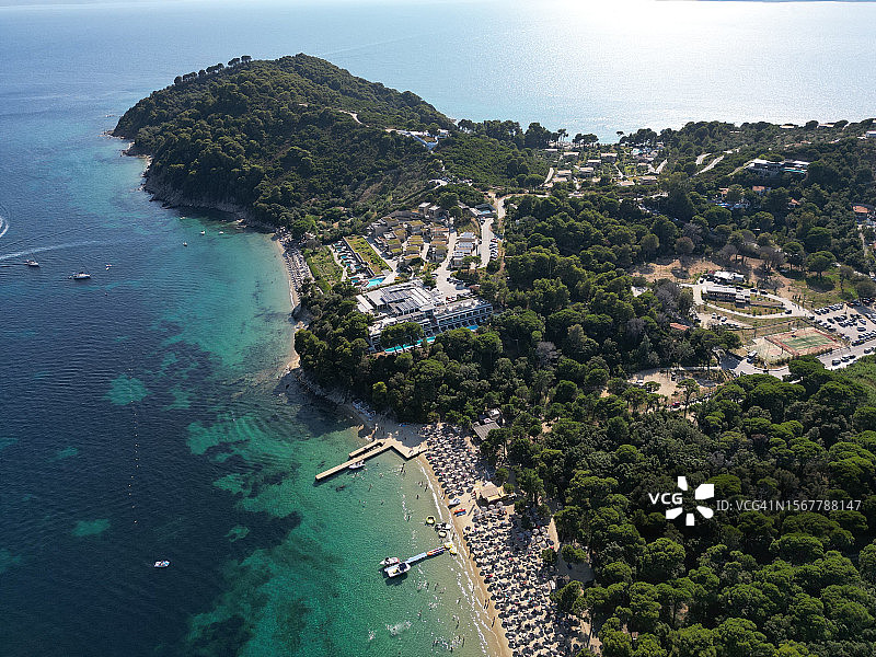 希腊斯基亚索斯岛的树木与海景图片素材