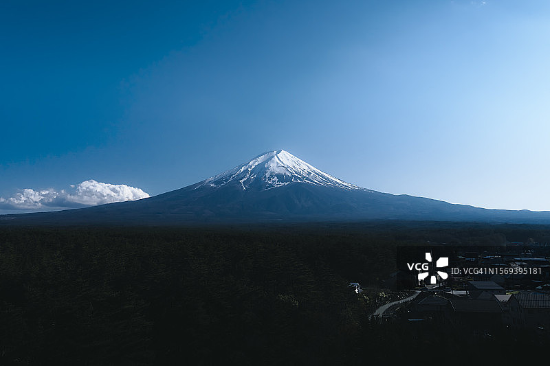 郁郁葱葱的青木原森林后方，耸立着日本最具标志性的地标富士山图片素材