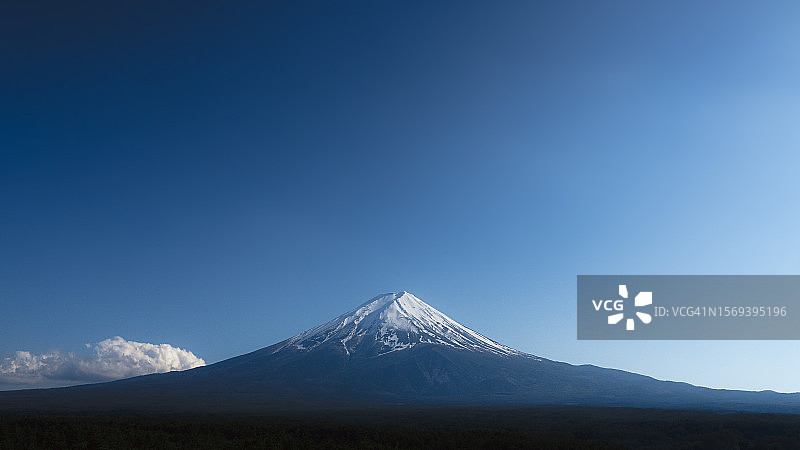 郁郁葱葱的青木原森林后方，耸立着日本最具标志性的地标富士山图片素材