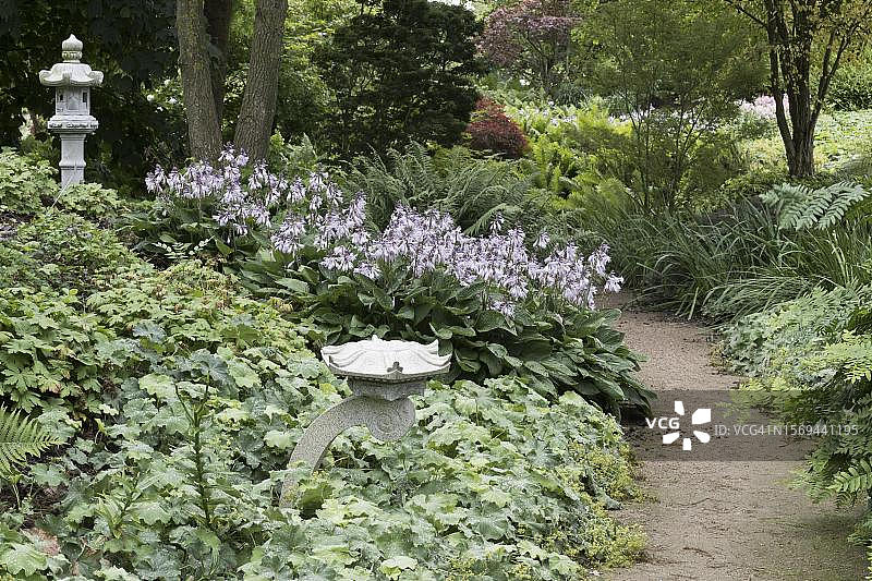 下萨克森的宿根花坛中的石灯笼图片素材