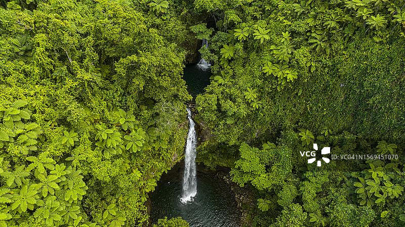 斐济塔韦乌尼岛布马国家公园塔沃罗瀑布航拍图片素材