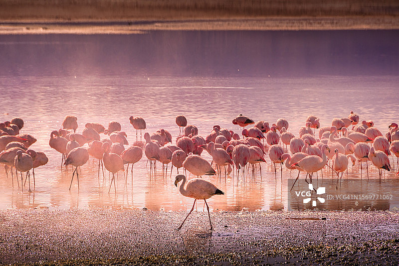 查科塔泻湖图片素材