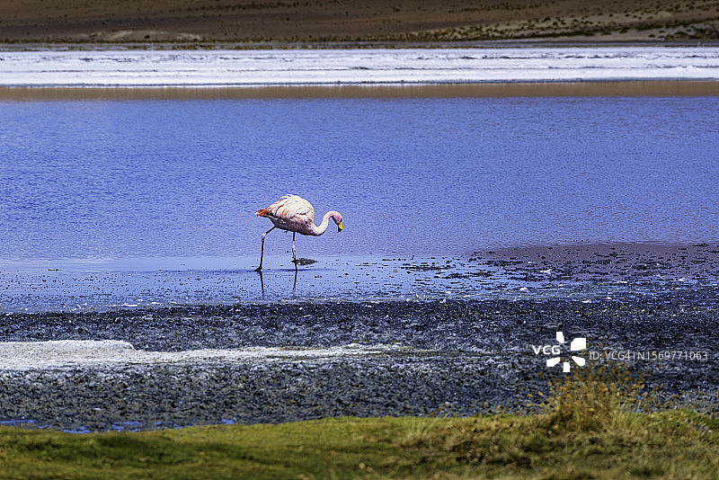 查科塔泻湖图片素材
