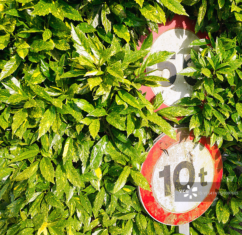 限速50图片素材