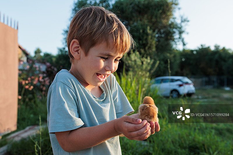 抱着小鸡的学龄前男孩图片素材