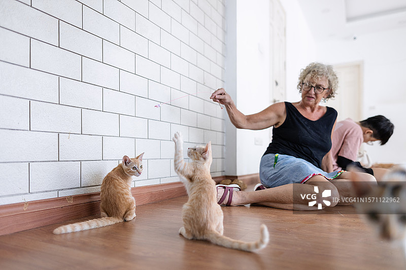 亚洲的无家可归残疾宠物收容所图片素材