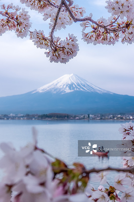 富士山和樱花，日本图片素材