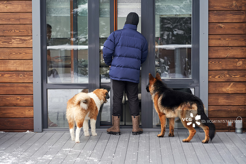 两只狗和主人一起看向房子图片素材