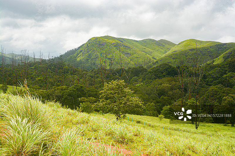 喀拉拉邦景观图片素材