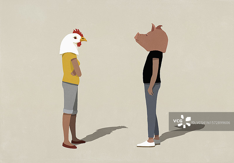 猪头和鸡头的对抗夫妻图片素材