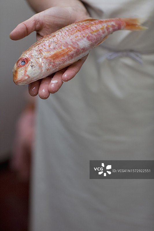 鱼贩手中拿着鱼的特写图片素材