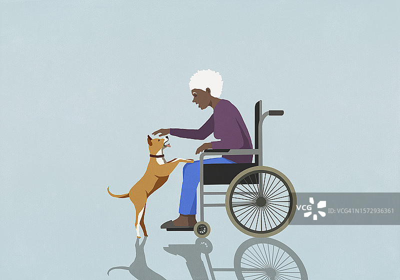 坐在轮椅上抚摸可爱小狗的年长女人图片素材
