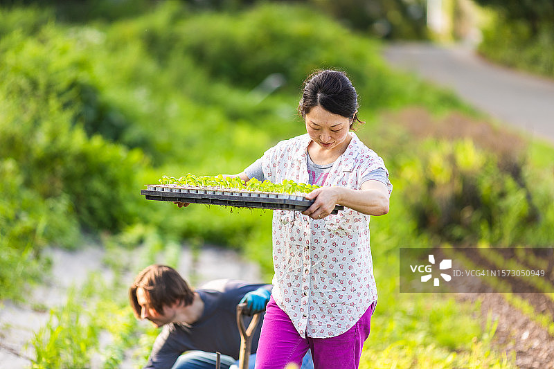 多种族务农夫妇在农场工作图片素材
