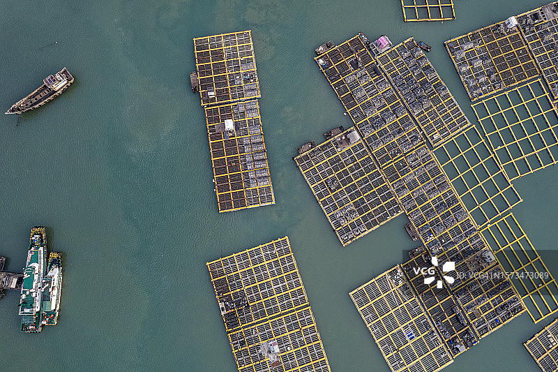 海洋水产养殖场中渔排的竖版航拍照片图片素材