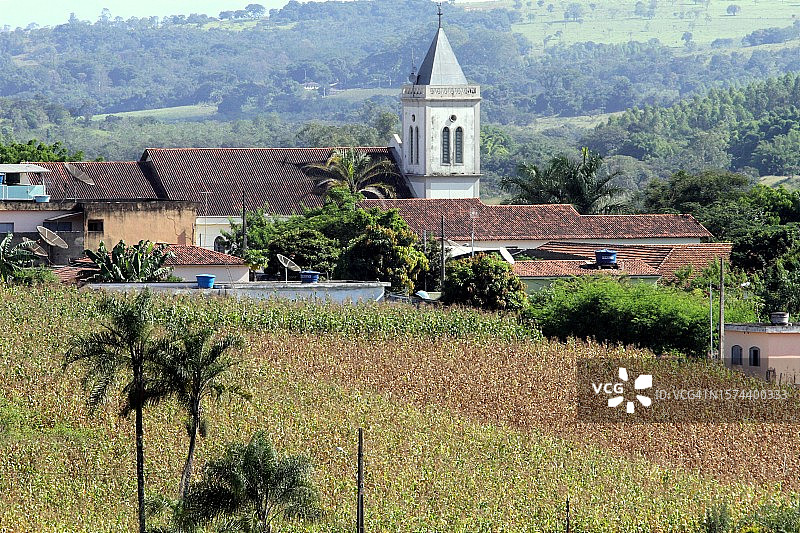 玉米种植园图片素材