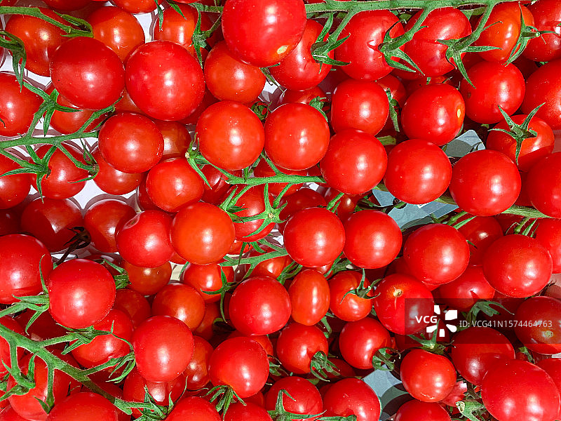 红色西红柿背景。西红柿特写镜头图片素材
