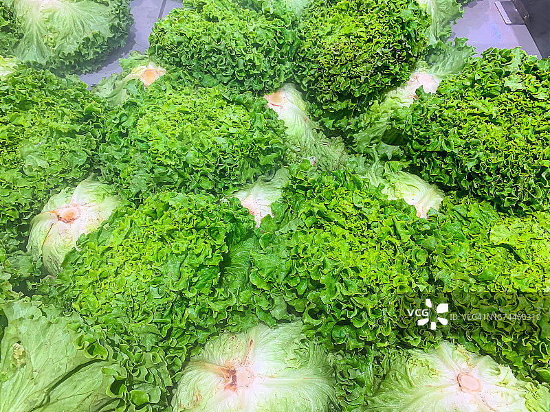 绿色生菜叶图片素材