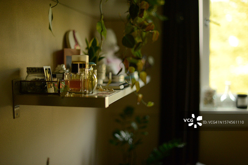 装饰着绿色植物的置物架图片素材